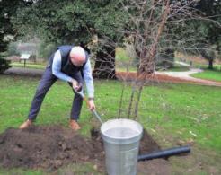 The Queen's tree being planted in Holywells Park